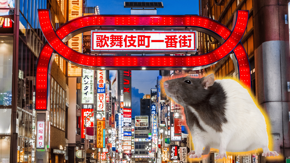 Kabukicho Rats