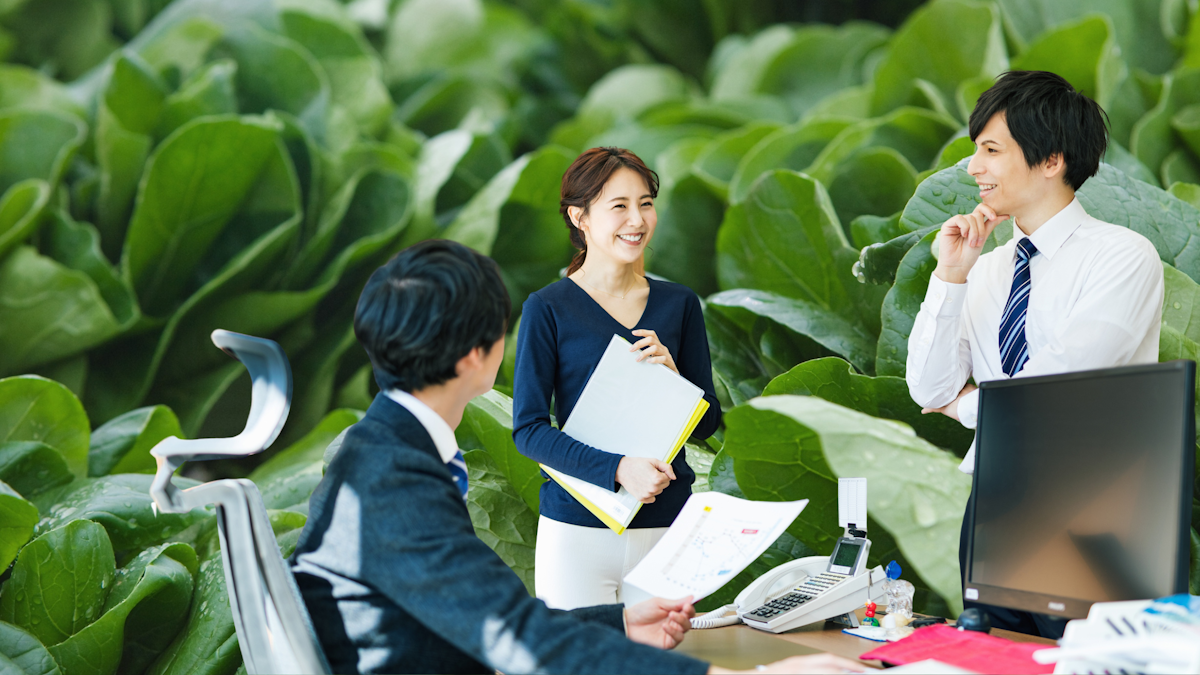 Picture of three Japanese office workers talking against a backdrop of spinach