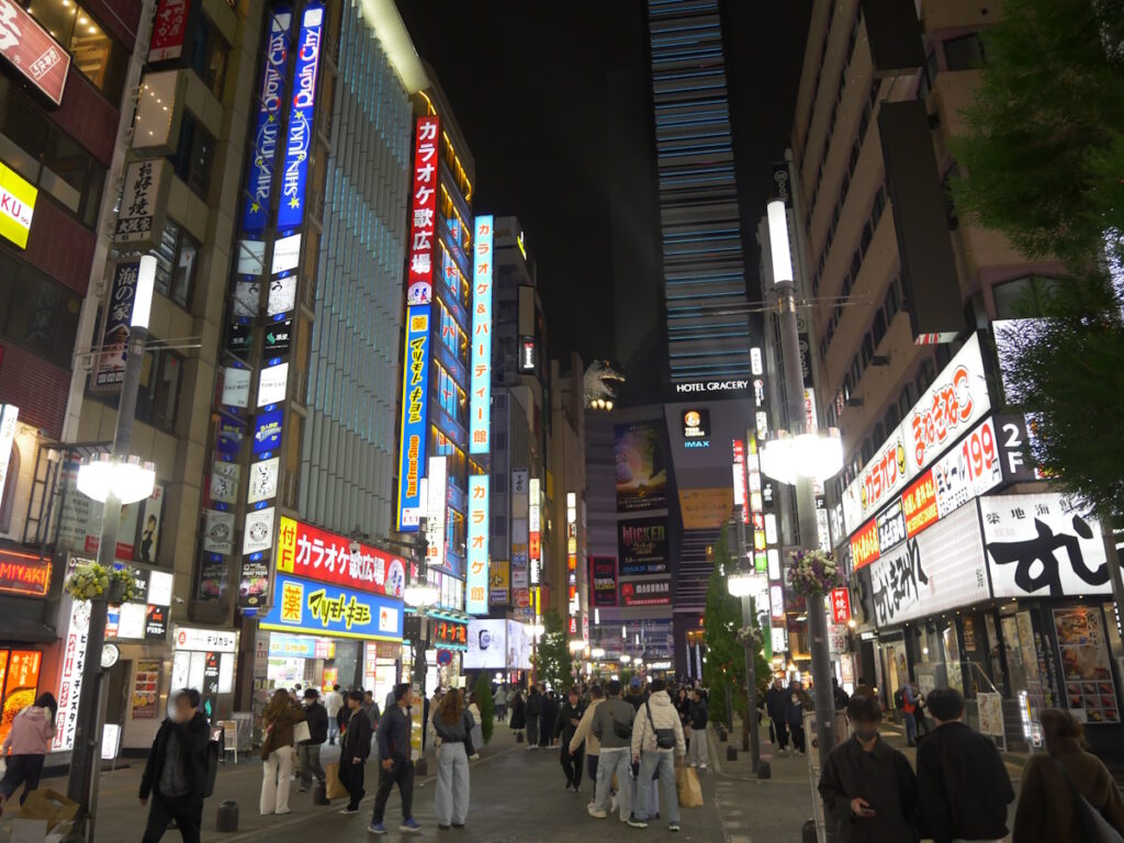 Toyoko Area, Kabukicho